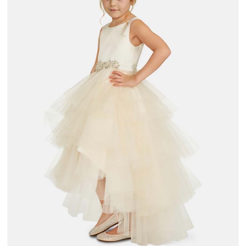 Rare editions satin tulle fairy dress 4t